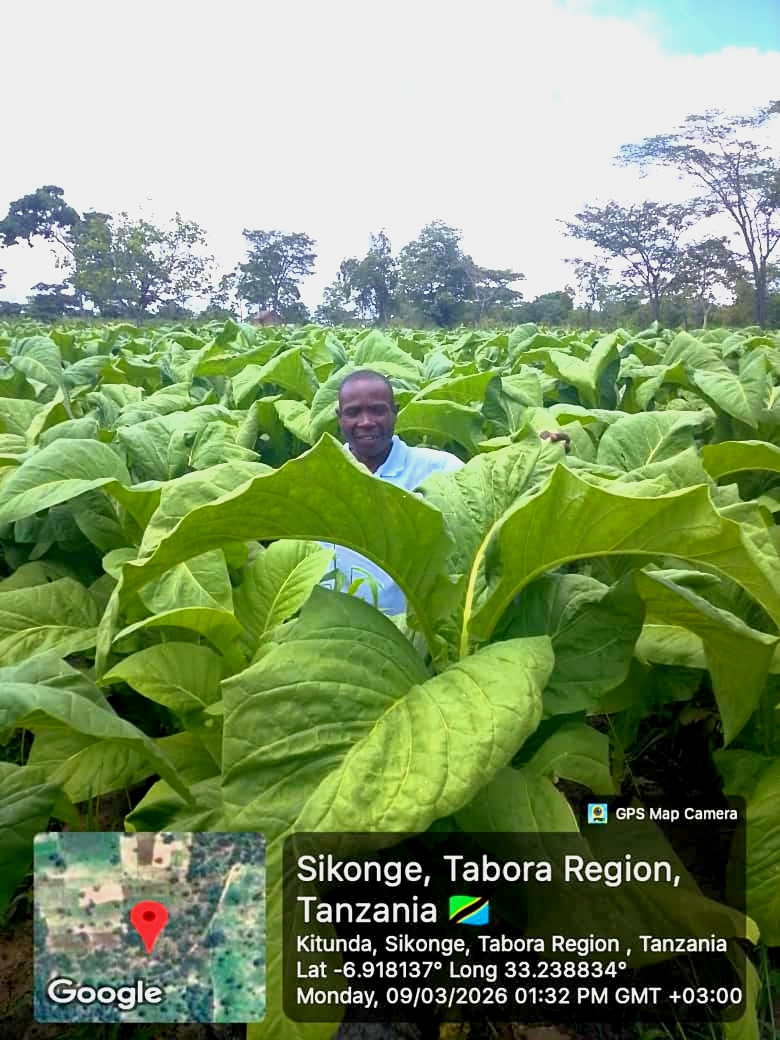 Contract Farming Tanzania